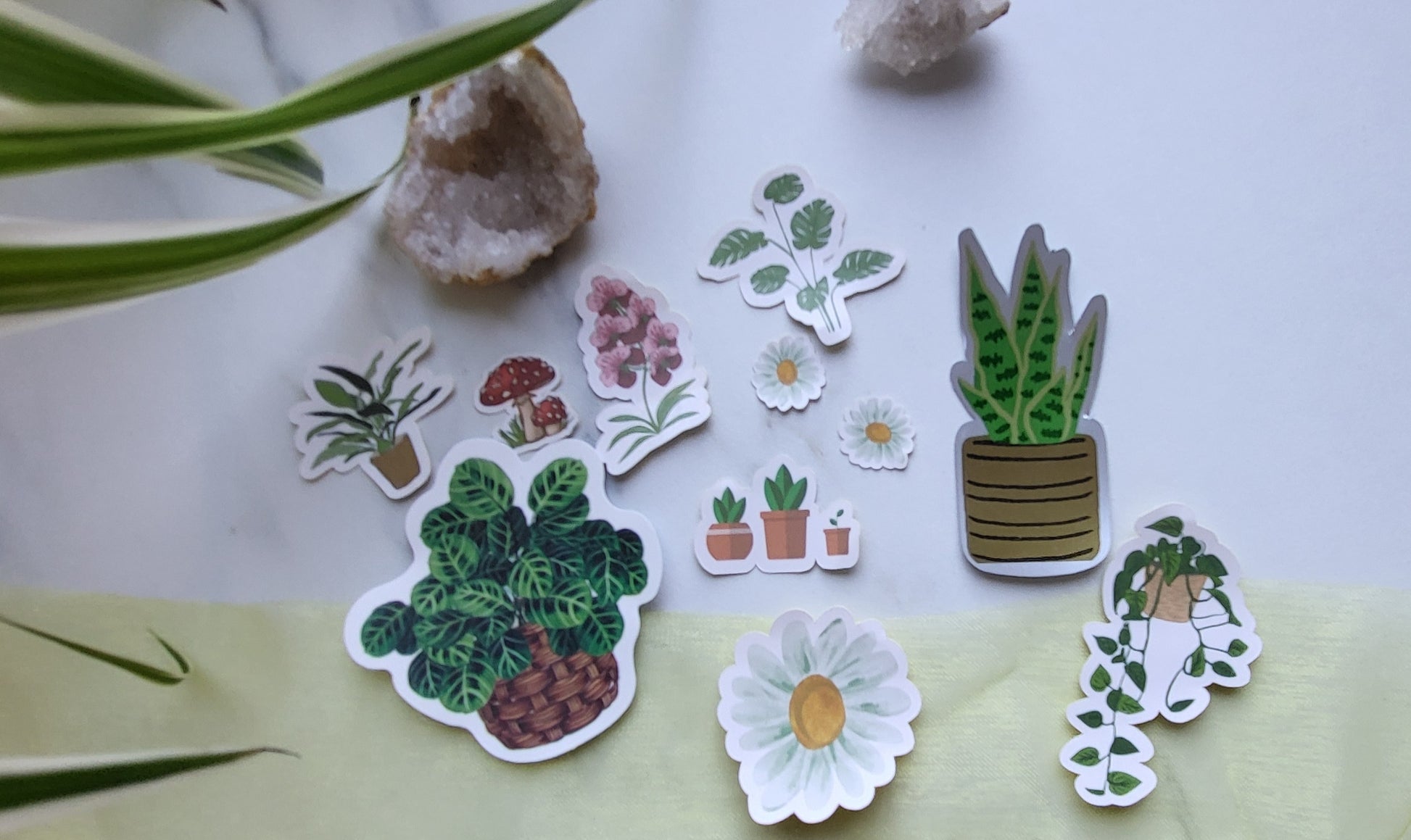 succulent stickers I beg your garden? Plant stickers – Pretty Organised Desk